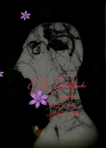 Cabo Delgado em Gritos